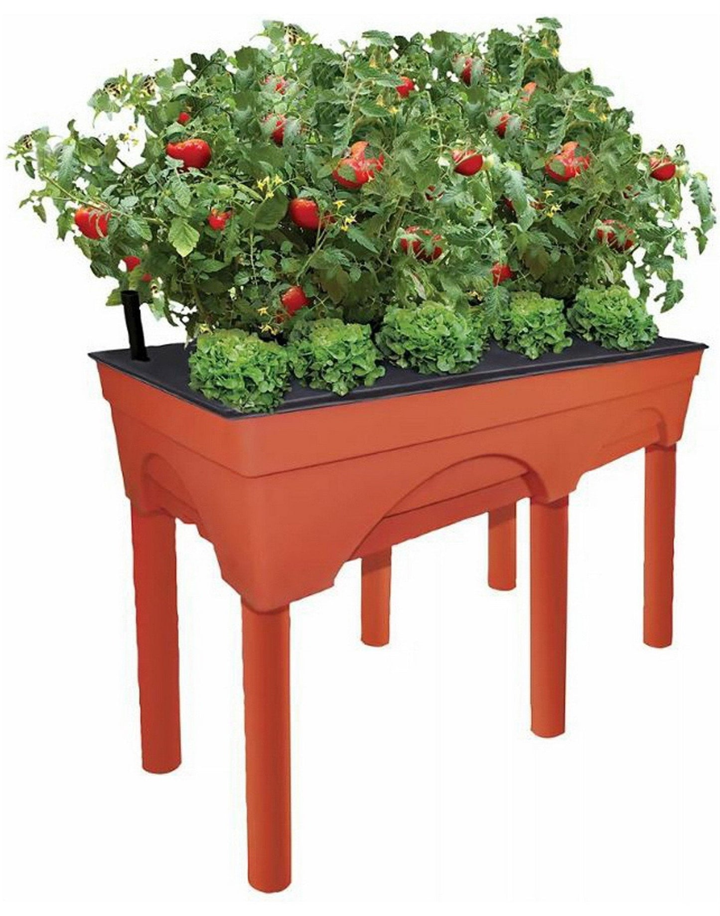 Big Tall Easy Picker Self Watering Raised Bed Grow Box