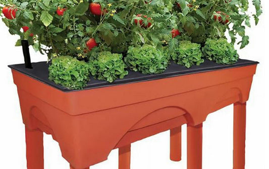 Big Tall Easy Picker Self Watering Raised Bed Grow Box