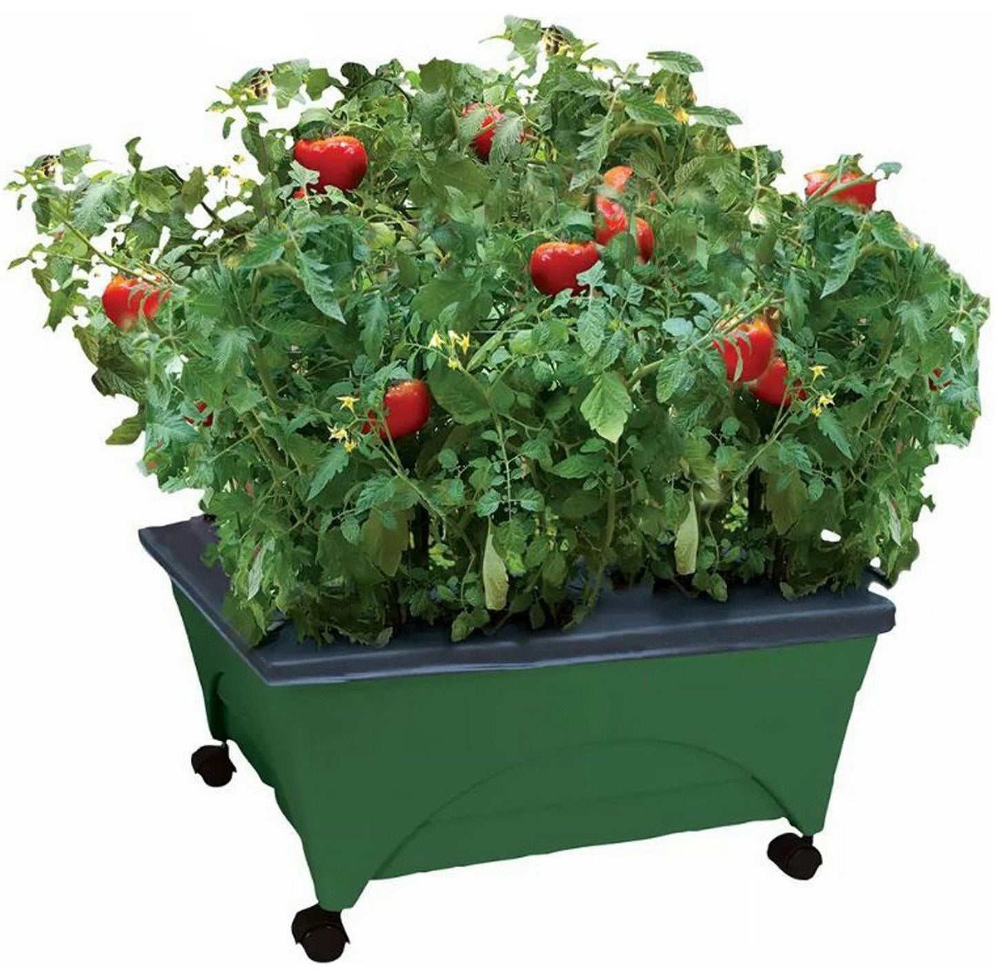 Self Watering Resin Raised Wheeled Bed Grow Box