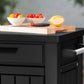 Outdoor Entertainment Grill Table Station Bar Grilling Storage Cabinet