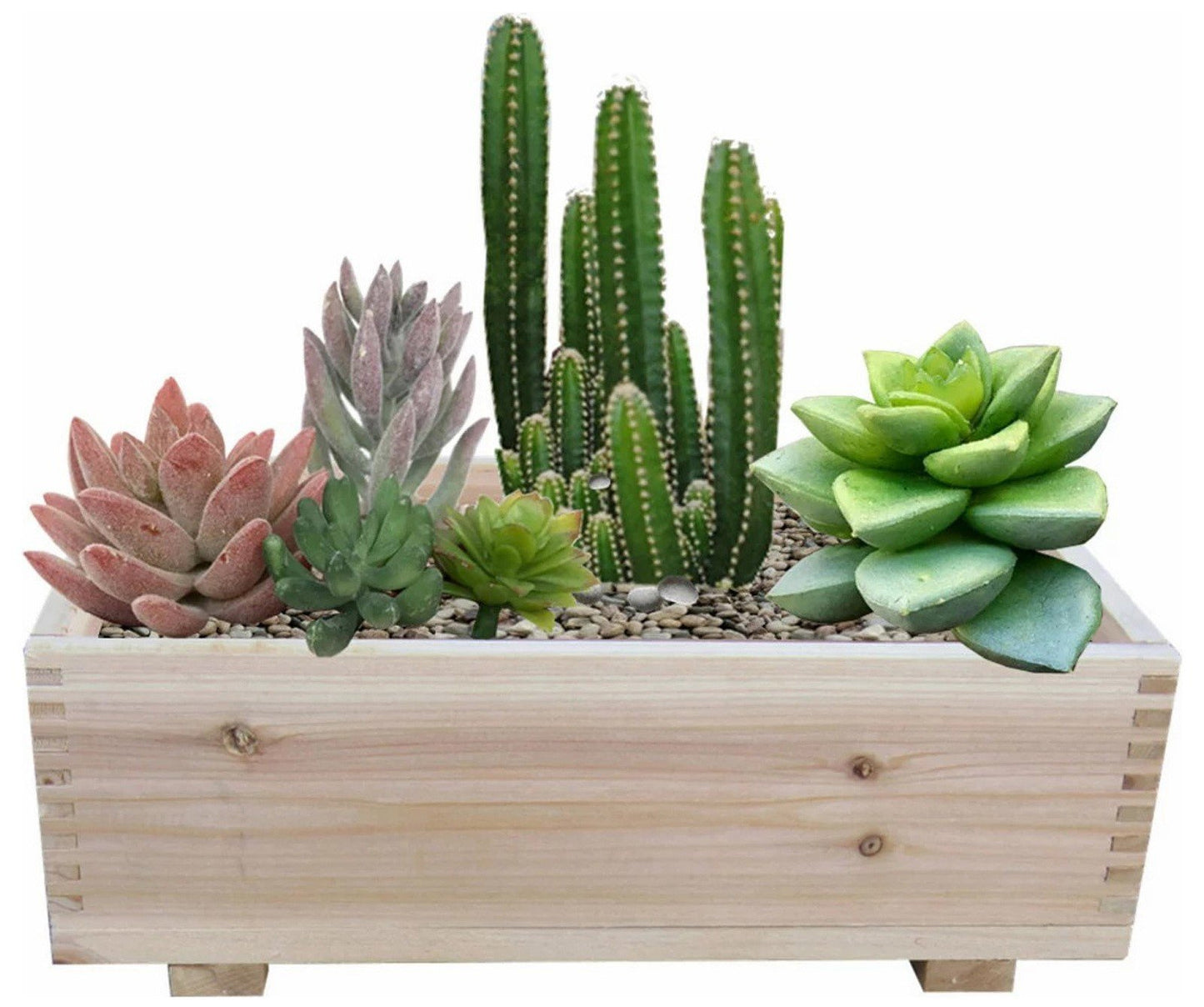 Two Solid Cedar Wood Planters / Storage Boxes Dual Purpose Set of 2 10" x 16"